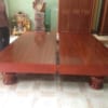 Mẫu Chiếu Ngựa MT-2301