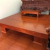 Mẫu Chiếu Ngựa MT-2304
