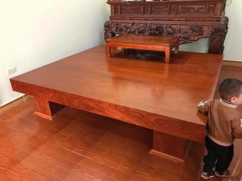 Mẫu Chiếu Ngựa MT-2304