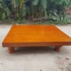 Mẫu Chiếu Ngựa MT-2309